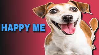 5 Sound That Make Dogs Happy  HAPPY ME [upl. by Faber]