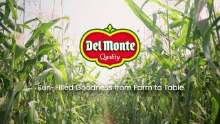 Del Monte Asia 品牌視頻 quotSunFilled Goodness from Farm to Tablequot  Kikkoman [upl. by Koressa]