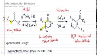 Aldol Condensation Elimination including E1cB Mechanism [upl. by Eletnahs]