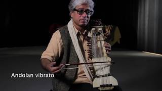 Dhruba Ghosh demonstrates the sarangi [upl. by Salokkin]