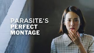 Parasites Perfect Montage [upl. by Win]