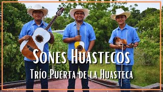 Sones huastecos por el Trío Puerta de la Huasteca [upl. by Naret]