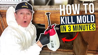 Black Mold  How we get rid of mold in under 3 min [upl. by Aidni]