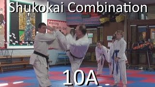 Shukokai combination 10A demo [upl. by Gall]