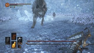 Dark Souls 3 Champions Gravetender and Greatwolf SL1 [upl. by Aehtla398]