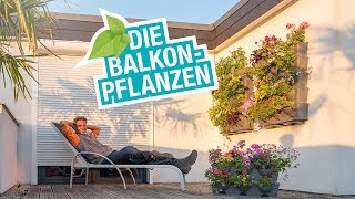 Die Balkonpflanzen Tipps und Tricks zum Platz sparen bewässern und richtig bepflanzen [upl. by Tommi668]