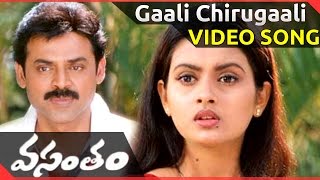 Gaali Chirugaali Video Song  Vasantam Movie  Venkatesh Kalyani  shalimarcinema [upl. by Lonna]