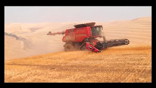 CaseIH 9250 Hillside Combine with Tracks [upl. by Knox869]