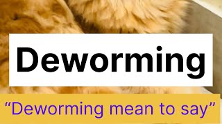 CAT DEWORMING  Deworming kya hota hai  How To Deworm Cats amp Kitten  Cat Deworming Is Necessary [upl. by Ayotan]