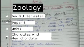 zoology paper 2  bsc 5th semester  unit 1 chordates and hemichordates  handwritten notes [upl. by Amalia27]