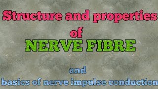 Structural details and functions of nerve fibre for NEET  AIIMS and JIPMER [upl. by Ahsekin]