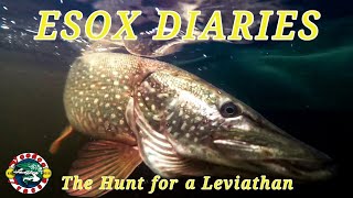 Esox Diaries S2 Ep2  PIKE FISHING from the Bank and Boat  ESOX LUCIUS  The Lake of Menteith [upl. by Nylitsirk408]