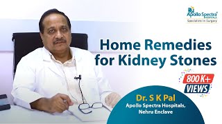 Kidney stone Home Treatment by Dr SKPal at Apollo Spectra Hospitals [upl. by Wanda]