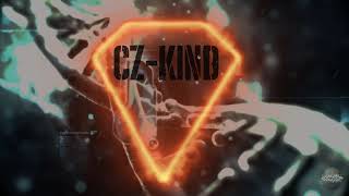 CZKiND Live  PROJEKT •X• 182Bpm HD [upl. by Cira]