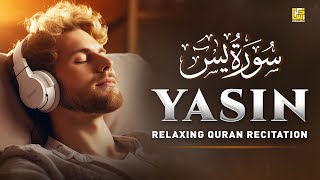 Peaceful Quran Recitation of Surah Yasin Yaseen سورة يس  SOFT VOICE  Zikrullah TV [upl. by Ian329]