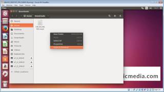 Connect VPN using OpenVPN on Ubuntu or Debian Linux [upl. by Darsie]