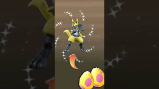 My first ever Most rare shiny hatch shorts lucario hatch shiny perfectiv rare special [upl. by Aerbma651]