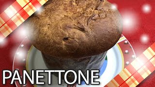 PANETTONE CON GOCCE DI CIOCCOLATO  CRICUCINA [upl. by Lanette404]