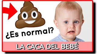 🍼 TIPOS DE CACA DE BEBÉ Y SIGNIFICADO 💩 ¿cuándo preocuparse [upl. by Nossaj]