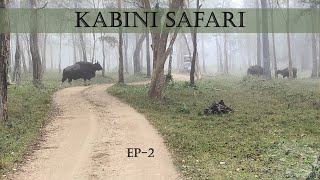 Kabini Morning Safari  EP  2 [upl. by Amikay863]