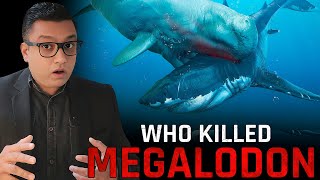 Why MEGALODON Got Extinct Does the Megalodon Still Exist [upl. by Inahpets522]