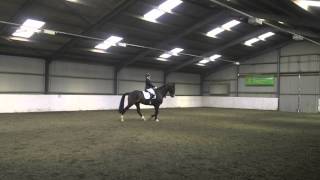 Martine and Sonny riding Novice 38 Dressage Test [upl. by Odlanyar278]