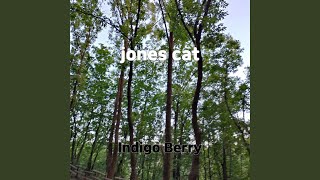 jones cat [upl. by Jedd]