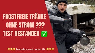 49  Frost freie Tränke ohne Strom für unsere Hühner  Check ✅ chicken hühner winter [upl. by Alban139]