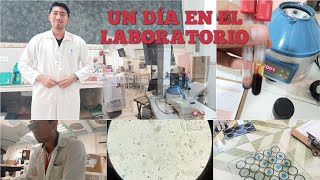 Un día en el laboratorio de análisis clínicos [upl. by Breen]