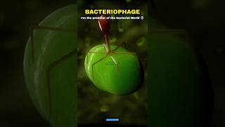 Bacteria vs Virus vs Bacteriophage 🗿👽 shorts scienceofinfinity science [upl. by Seta]