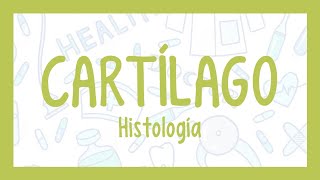 CARTÍLAGO ¡Fácil explicación Histología [upl. by Eleonora163]