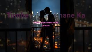 Tumhe Apna Banane Ka Junoon Song [upl. by Rednal]