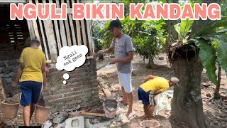 MEMBUAT KANDANG AYAM YG LEBIH BESAR ‼️ aku kuline [upl. by Wanda]