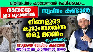 സൂക്ഷിക്കുക കുടുംബത്തിൽ ഒരു മരണം സംഭവിക്കും നായയെ ഈ രൂപത്തിൽ സ്വപ്നം കണ്ടാൽ Swapnam Kandal [upl. by Varuag]