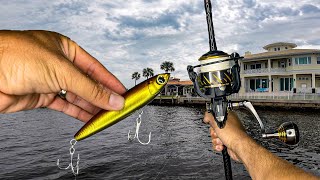 Topwater Fishing Residential Canals GIANTS [upl. by Mcleod]