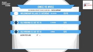 Old Woking CC Sat 1st XI v Woldingham Village CC Saturday XI [upl. by Lupien]