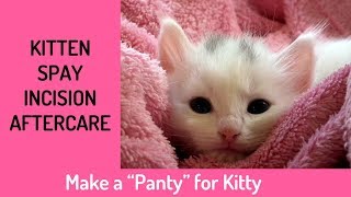 Kitten Spay Incision Aftercare  No Sew Panty Project [upl. by Adnohral]