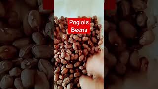 Beens colobot na food trending hindi mindset [upl. by Dyoll]