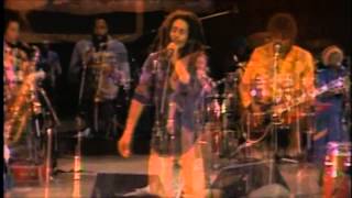 Bob Marley  Live Santa Barbara 1979 Japanese Remastered CD HD [upl. by Annamaria]