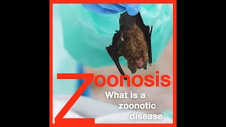 Zoonosis What is a Zoonotic Disease [upl. by Atrebla87]