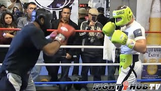 CANELO ALVAREZ WORKS SPARRING PARTNER WITH HIGH LEVEL COUNTER PUNCHING  FULL VIDEO [upl. by Cressy]