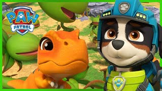 Pups redden TRex Tyke  PAW Patrol Nederlands [upl. by Sidonie554]