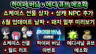 메이플스토리 맑음 하이퍼 버닝  에디셔널 큐브 메소화  월드 리프  쇼케이스 선물 상자 등  메이플 6월 여름 업데이트 날짜 및 패치 일부 미리보기 [upl. by Nolan]