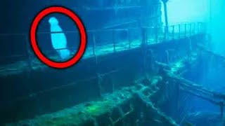 What They Discovered in Titanic Shocked the Whole World [upl. by Queston638]