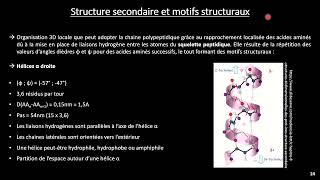 Biochimie 1  Structure des protéines 2 [upl. by Irwin]