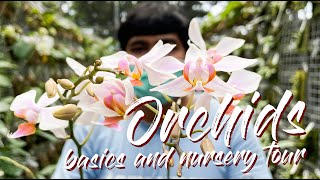 Orchid Basics and Nursery Tour with Indonesian Hybridizer Erick vernonianursery [upl. by Enneire]