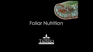 Tainio Biologicals  Importance of Foliar Nutrition Apr 2021 [upl. by Vine480]