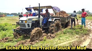 Eicher 480 4wd tractor load trolley stuck in mud  Help with Massey Ferguson 246 4wd tractor 💪 [upl. by Nahaj367]