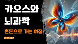 당신만 모르는 세상의 법칙 혼돈으로 가는 여정의 보편적 진리 Top5 [upl. by Venditti101]