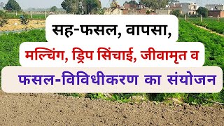 Video 33 बागवानी में प्राकृतिक खेती का सफल मॉडल Natural farming [upl. by Atikkin]